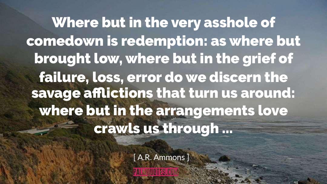 Afflictions quotes by A.R. Ammons