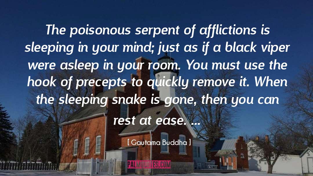 Afflictions quotes by Gautama Buddha