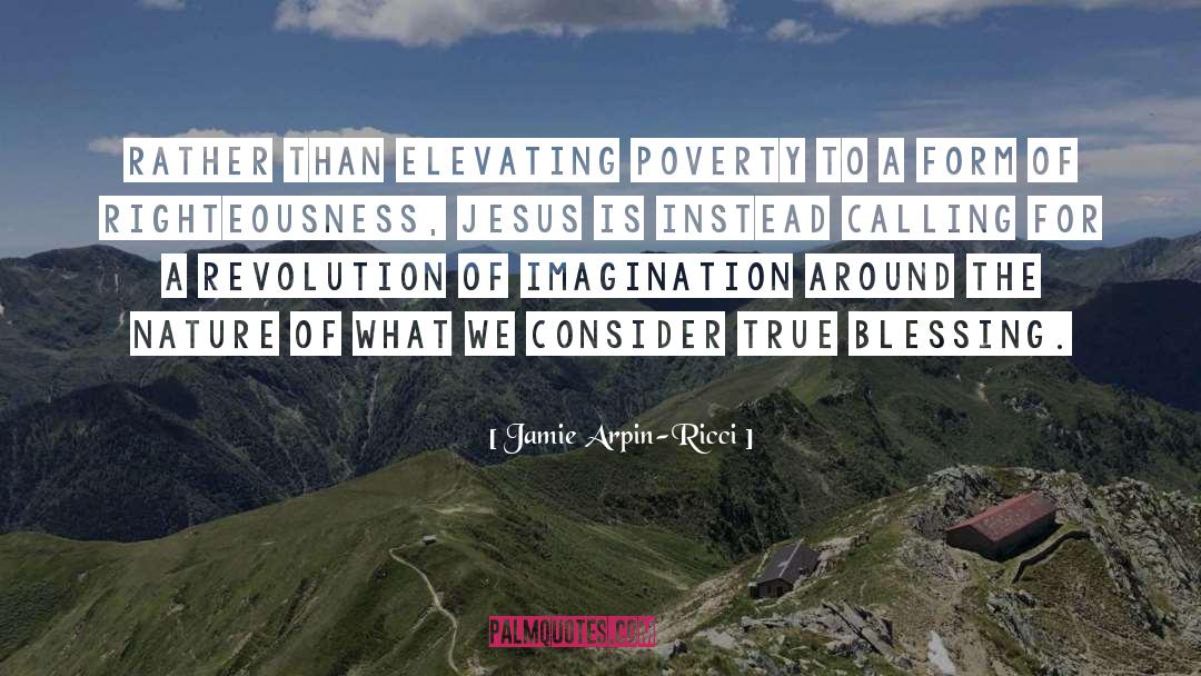 Affluence quotes by Jamie Arpin-Ricci