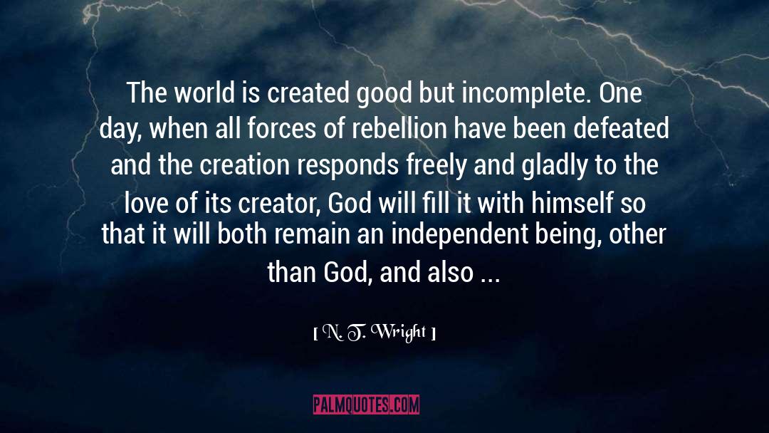 Affront To Creation quotes by N. T. Wright