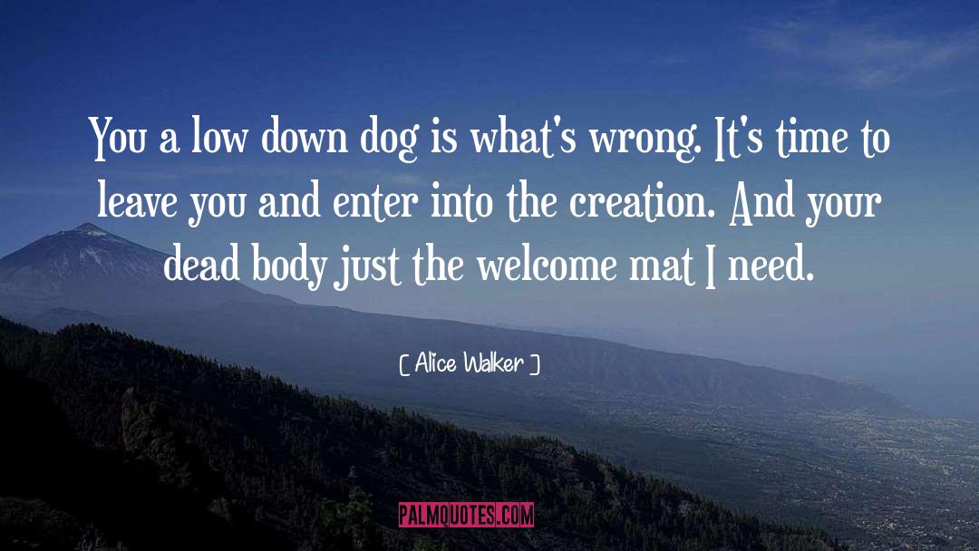 Affront To Creation quotes by Alice Walker