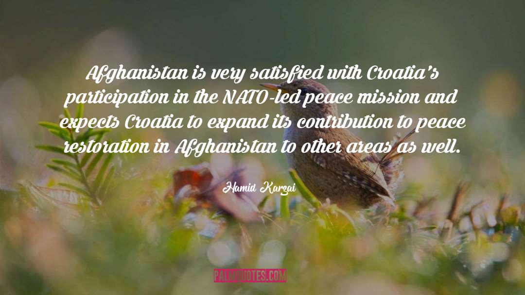 Afghanistan Peace quotes by Hamid Karzai