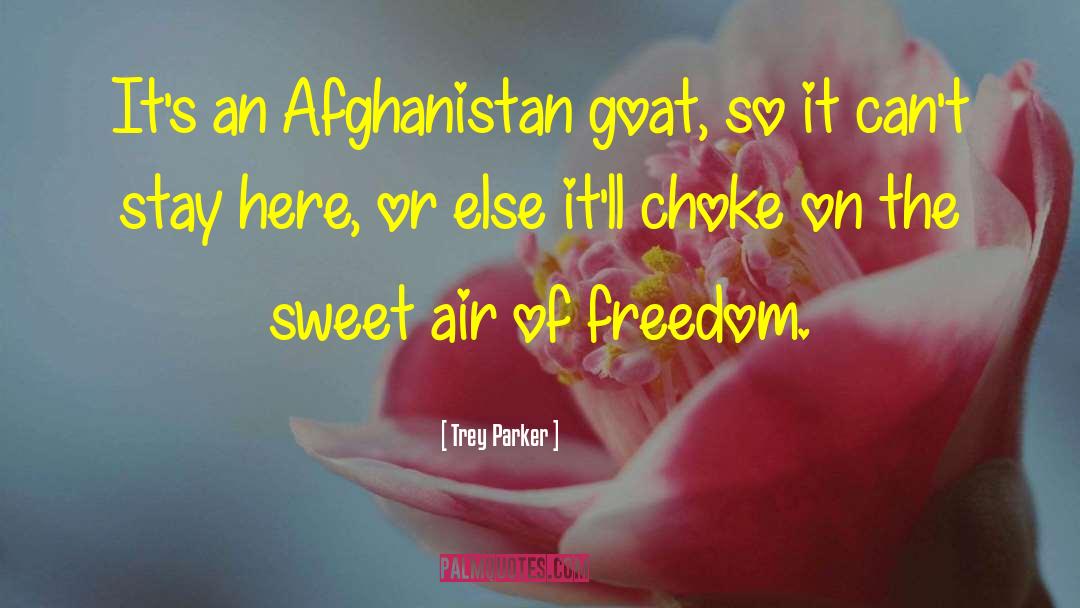 Afghanistan quotes by Trey Parker