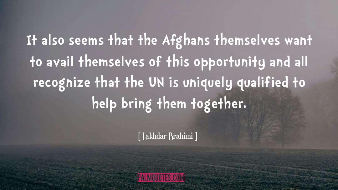 Afghans quotes by Lakhdar Brahimi