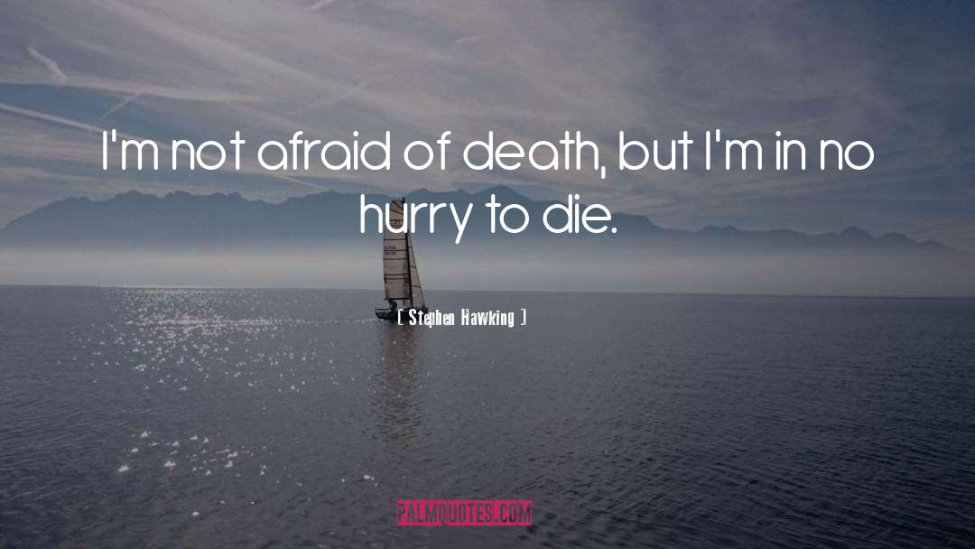 Afraid Of Death quotes by Stephen Hawking