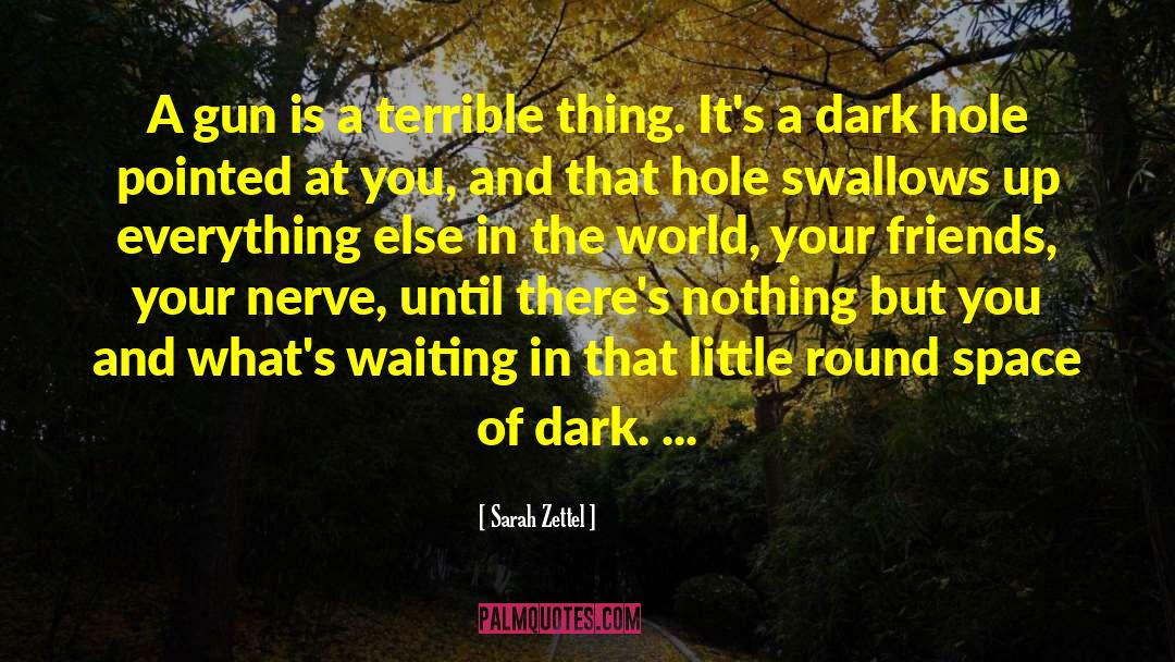 Afraid Of The Dark quotes by Sarah Zettel