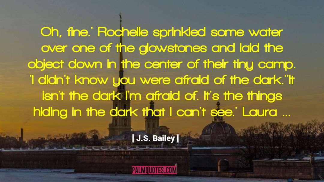 Afraid Of The Dark quotes by J.S. Bailey