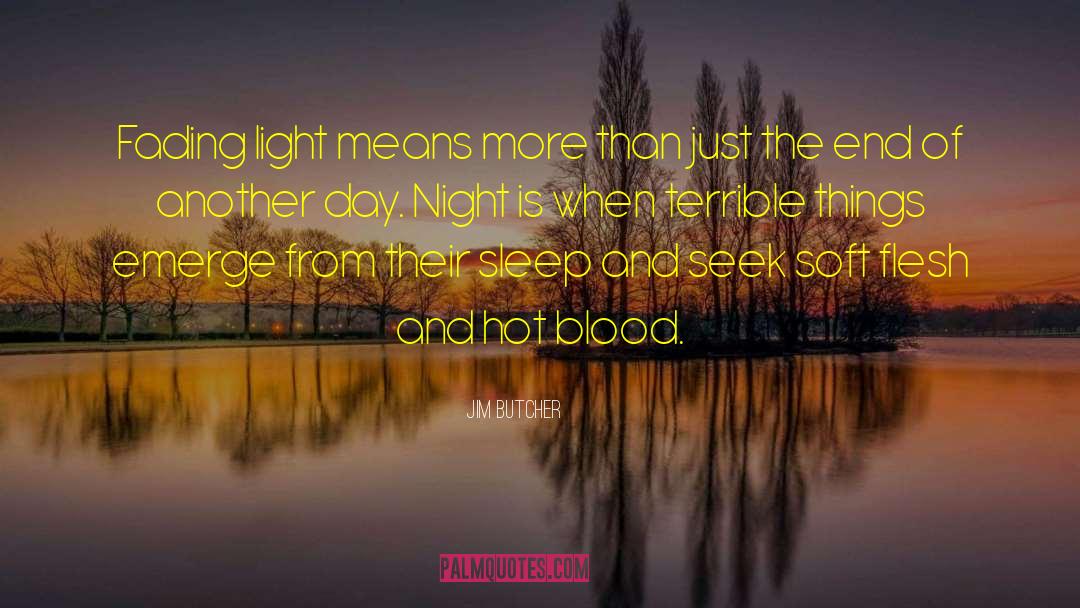 Afraid Of The Dark quotes by Jim Butcher