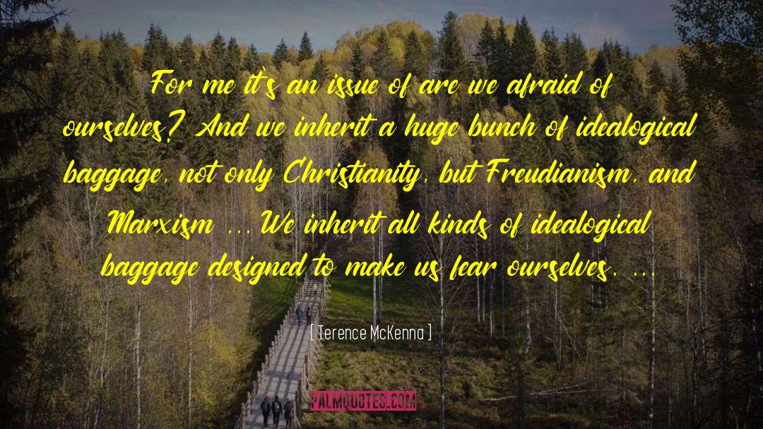 Afraid To Fail quotes by Terence McKenna
