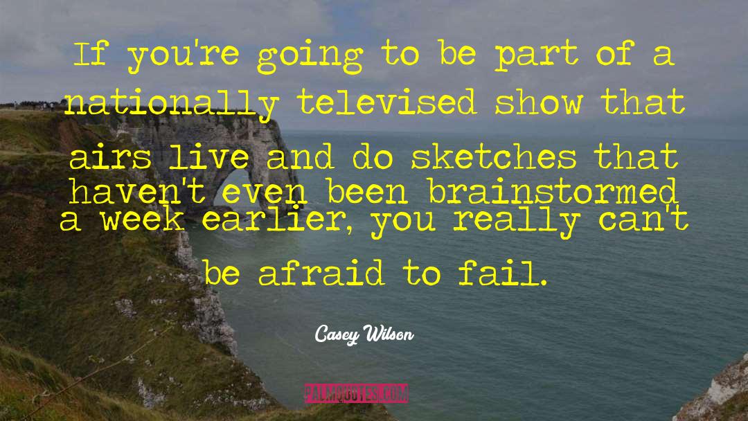 Afraid To Fail quotes by Casey Wilson