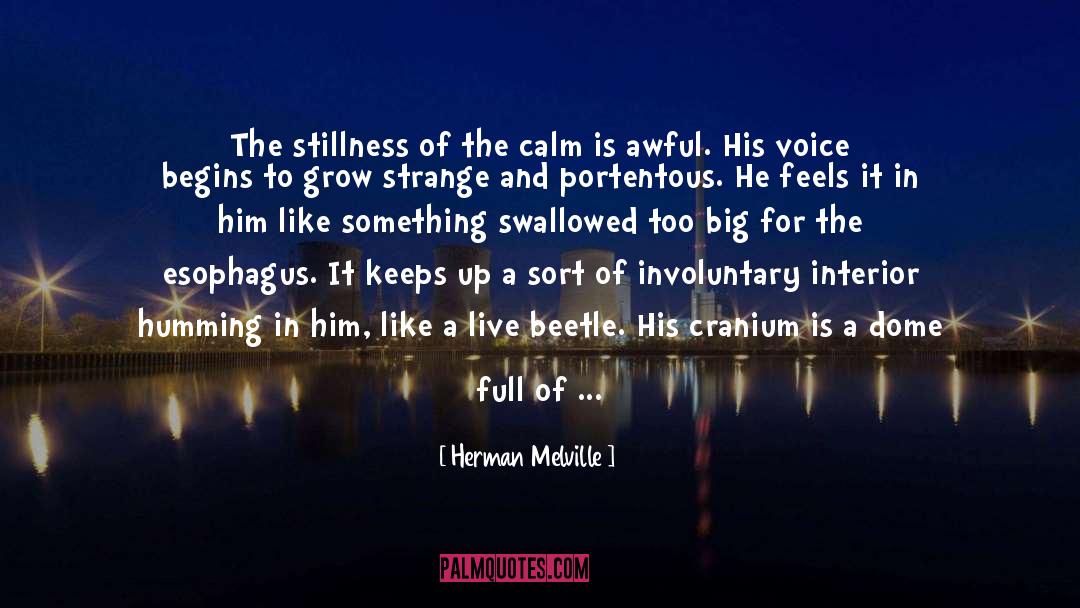 Afraid To Speak quotes by Herman Melville