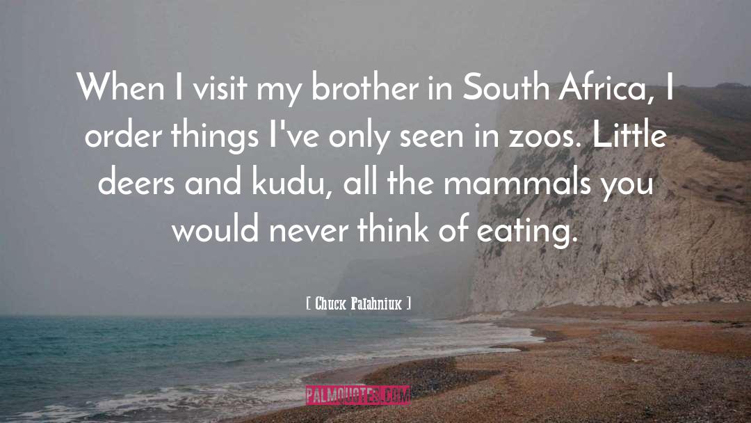 Africa quotes by Chuck Palahniuk