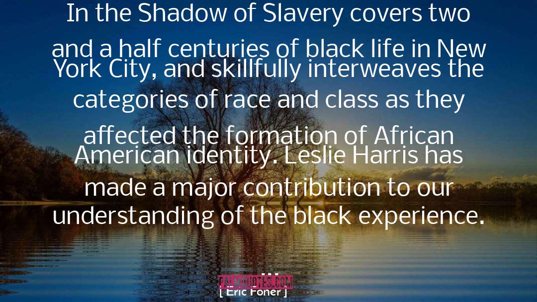African American Novel quotes by Eric Foner