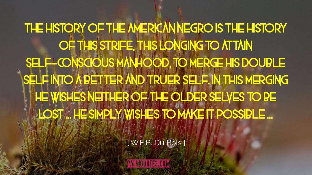 African American Novel quotes by W.E.B. Du Bois