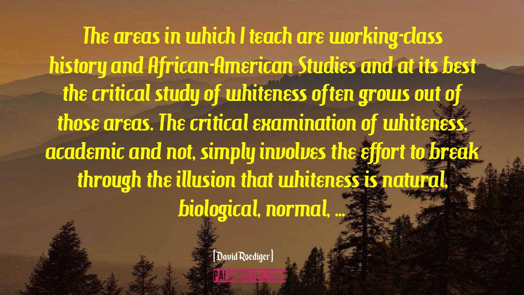 African American Studies quotes by David Roediger