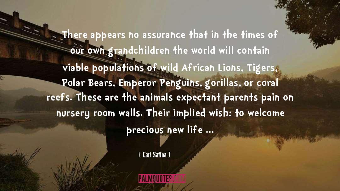 African Continent quotes by Carl Safina