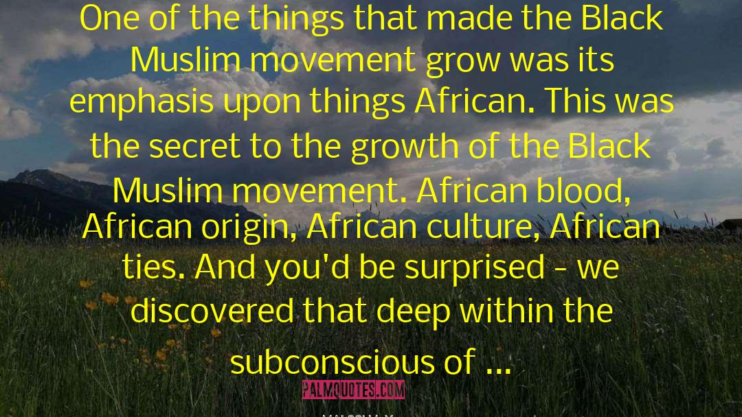 African Culture quotes by Malcolm X