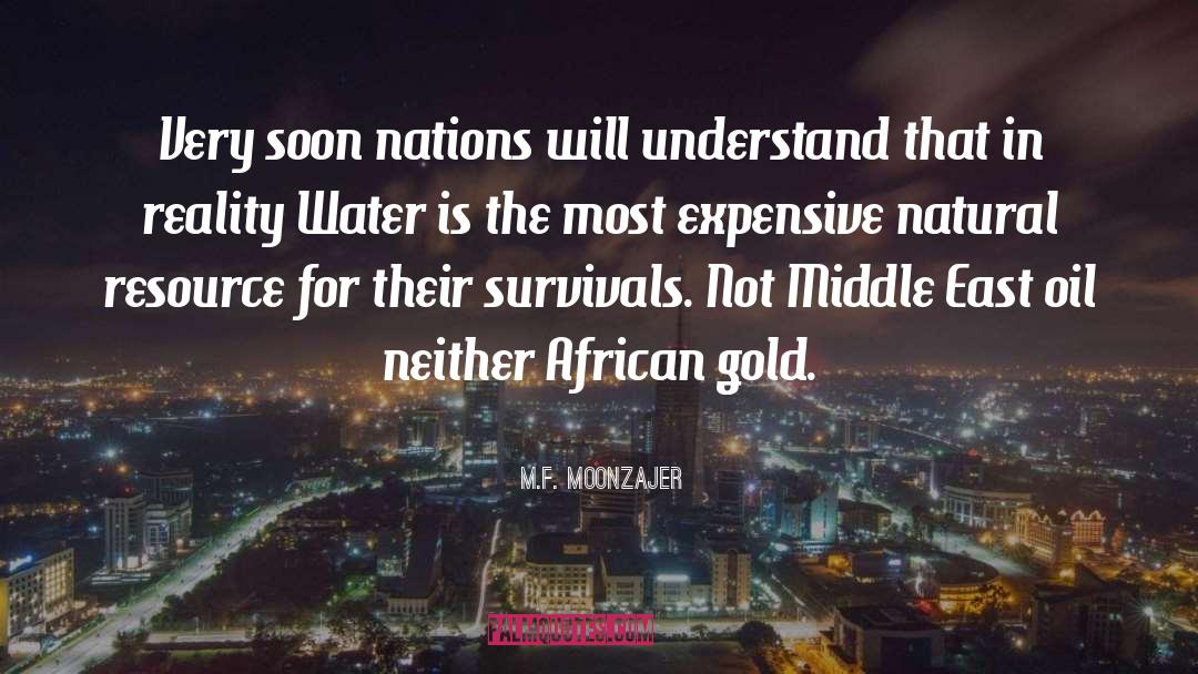 African Languages quotes by M.F. Moonzajer