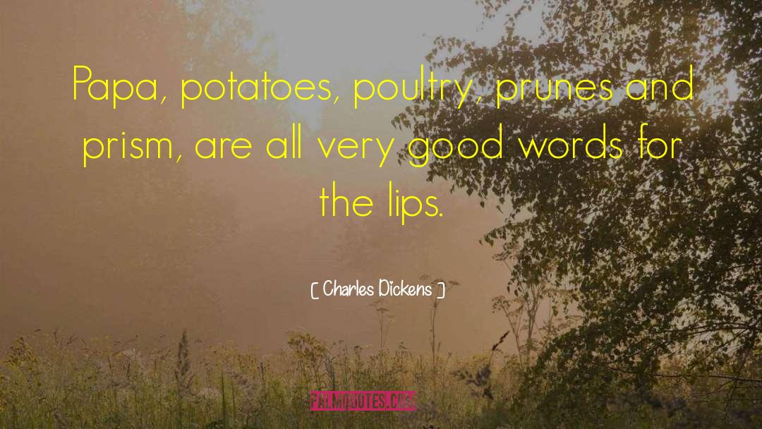 African Literature quotes by Charles Dickens