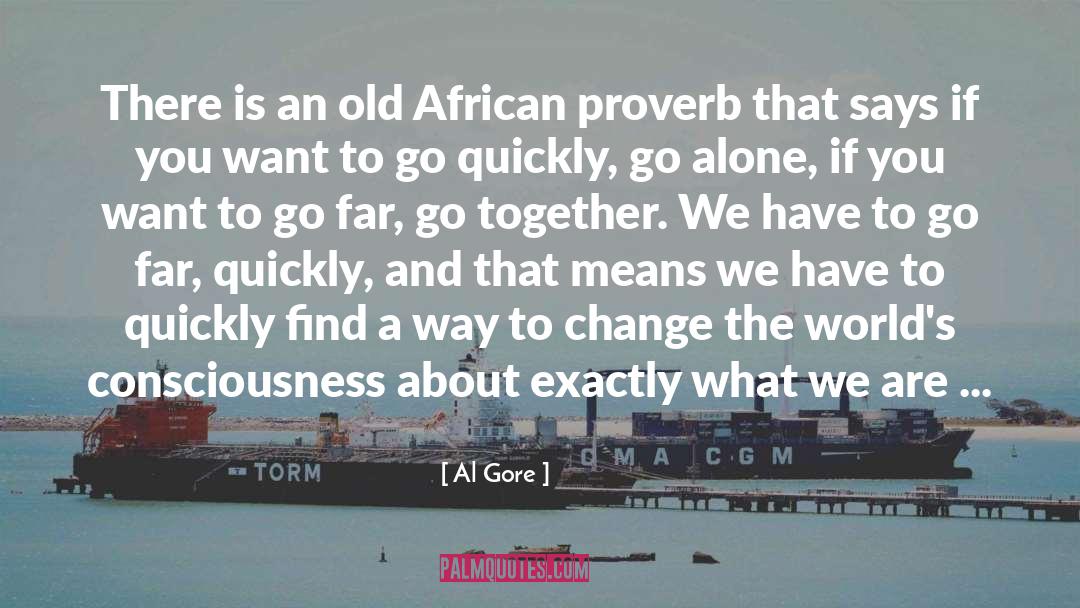 African Proverbs quotes by Al Gore