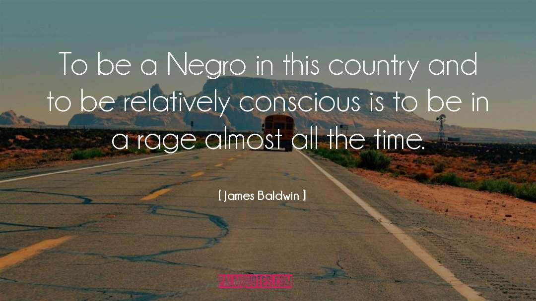 African Safari quotes by James Baldwin
