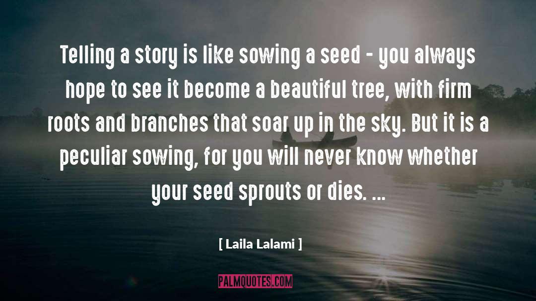 African Story Telling quotes by Laila Lalami