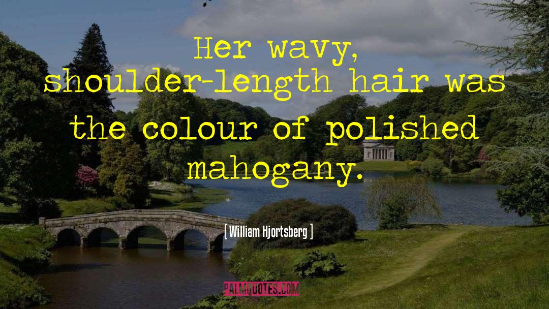 Afro Hair quotes by William Hjortsberg