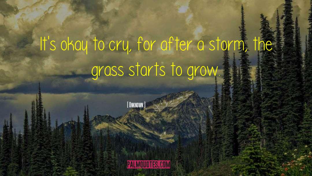 After A Storm quotes by Unknown