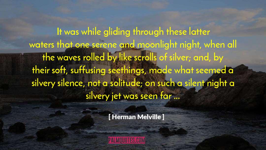 After All This quotes by Herman Melville