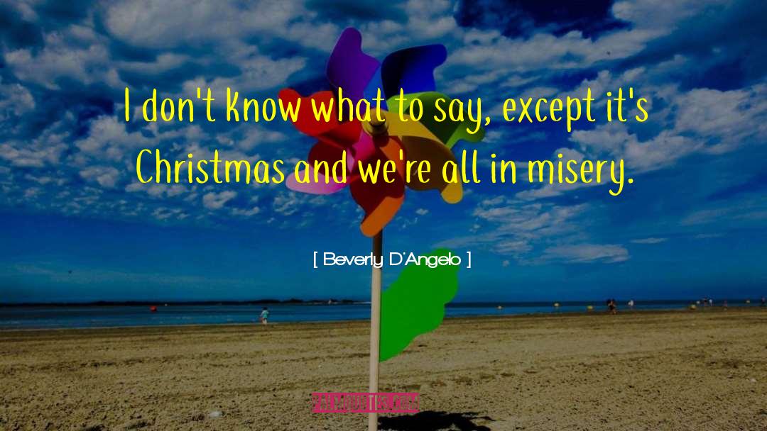 After Christmas Funny quotes by Beverly D'Angelo