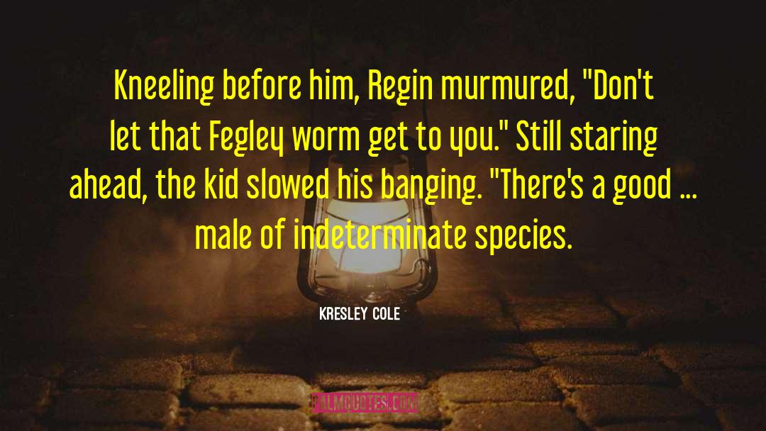 After Dark quotes by Kresley Cole