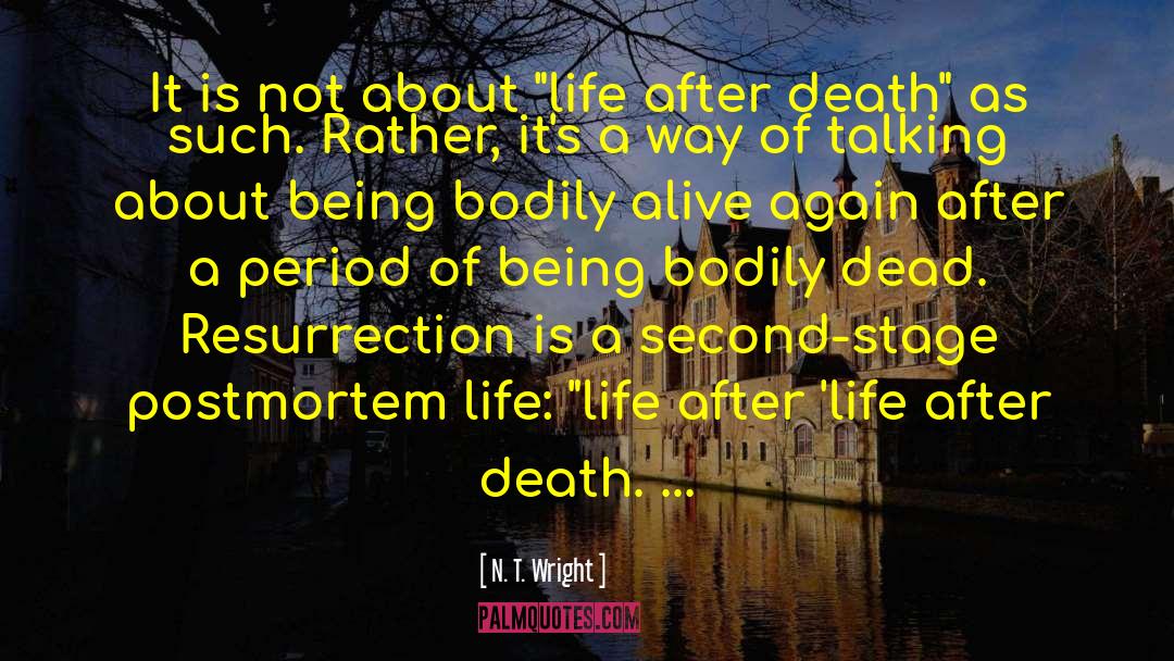 After Life quotes by N. T. Wright