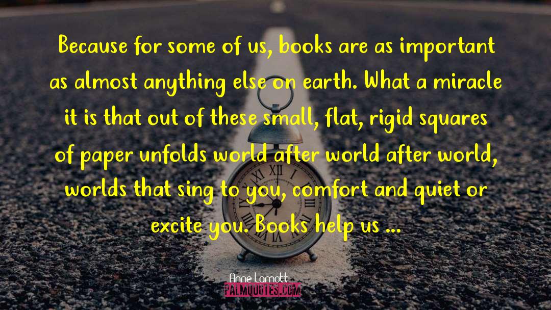 After World quotes by Anne Lamott