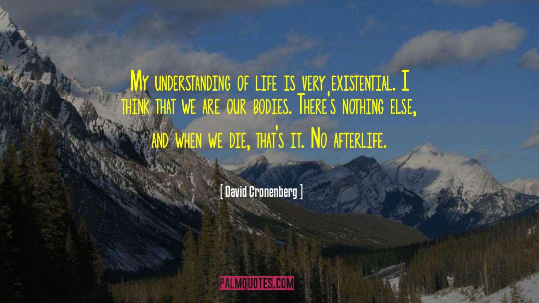 Afterlife quotes by David Cronenberg