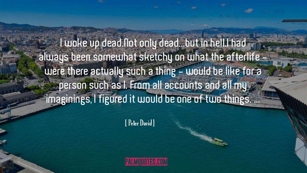 Afterlife quotes by Peter David