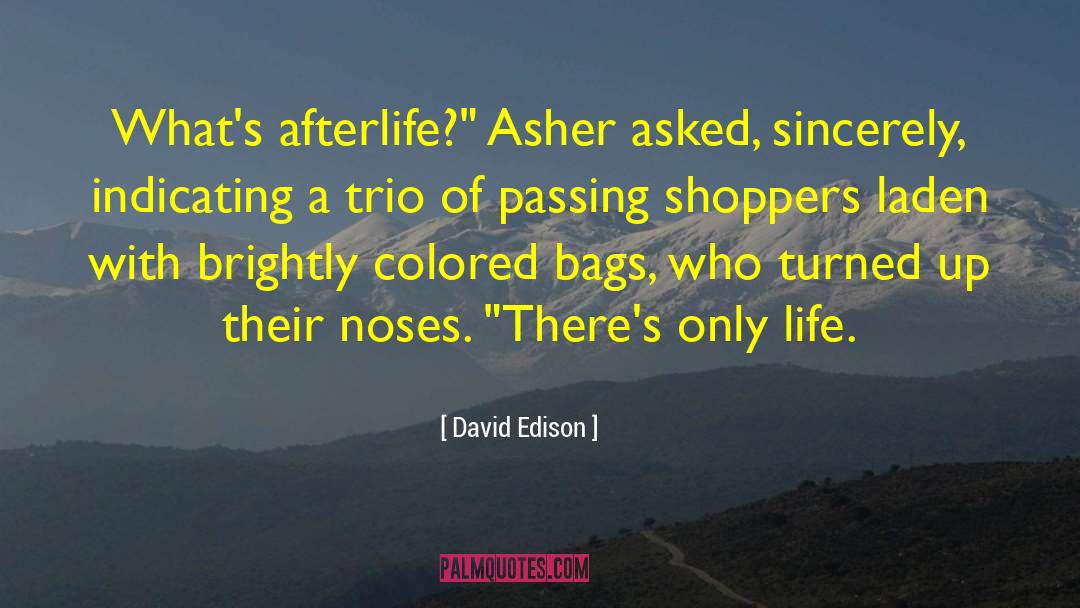 Afterlife Speculation quotes by David Edison