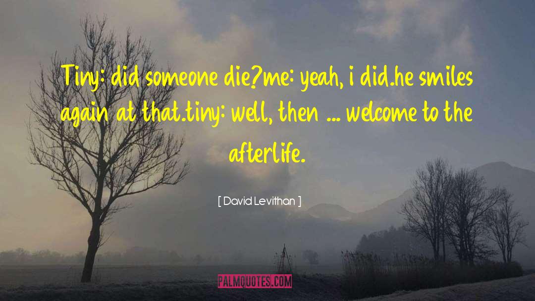 Afterlife Speculation quotes by David Levithan