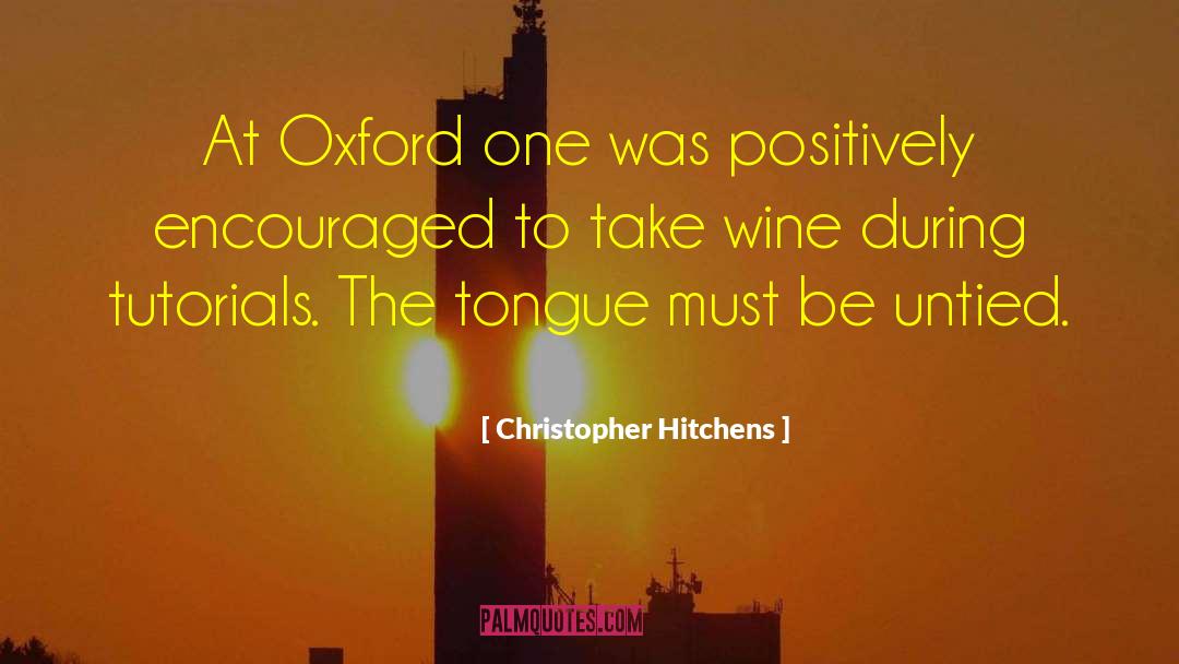 Afterlight Tutorial quotes by Christopher Hitchens