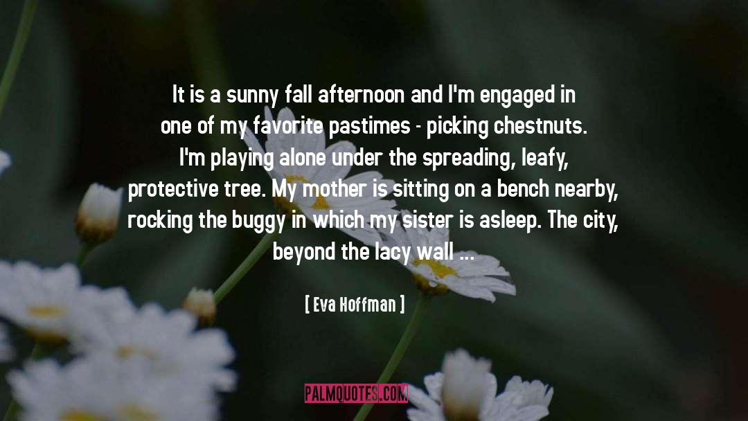 Afternoon quotes by Eva Hoffman