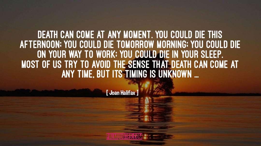 Afternoon quotes by Joan Halifax