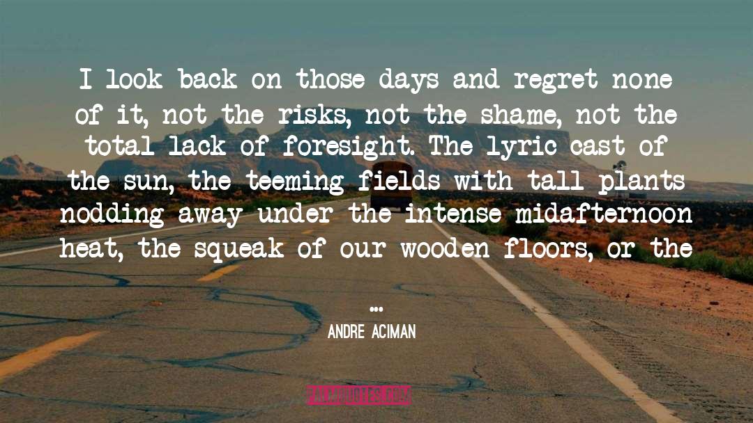 Afternoons quotes by Andre Aciman