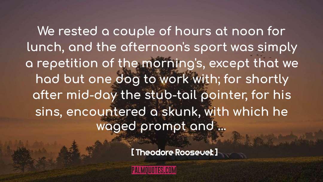 Afternoons quotes by Theodore Roosevelt
