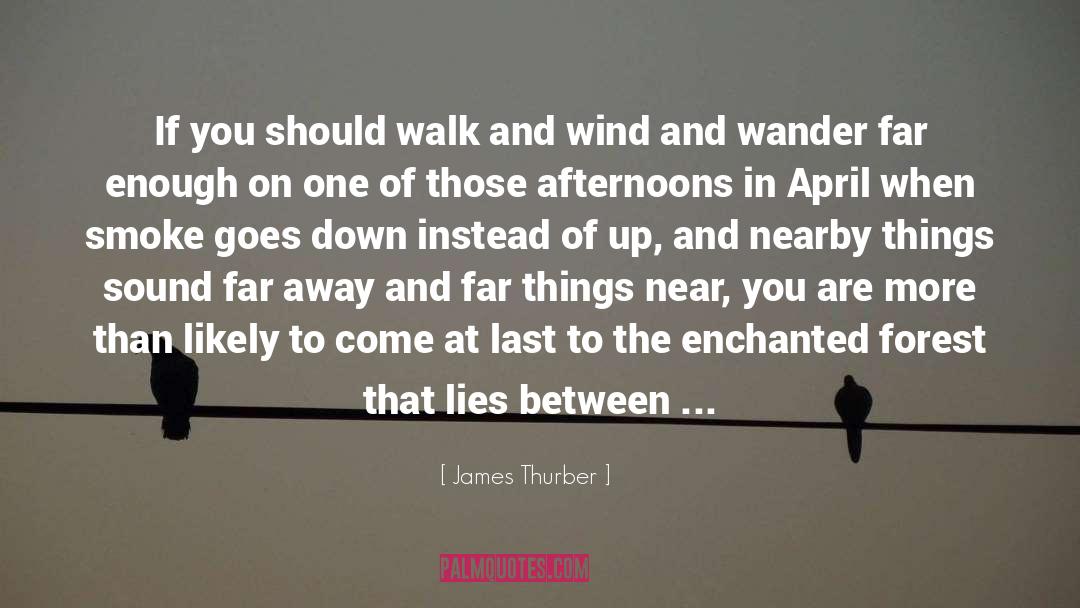 Afternoons quotes by James Thurber