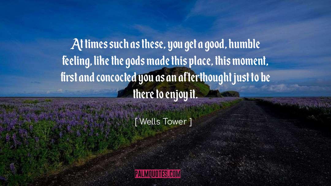 Afterthought quotes by Wells Tower