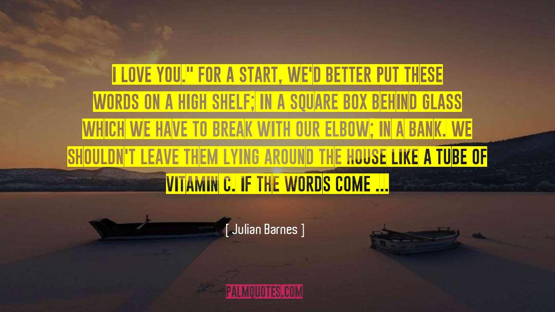 Again But Better Book quotes by Julian Barnes