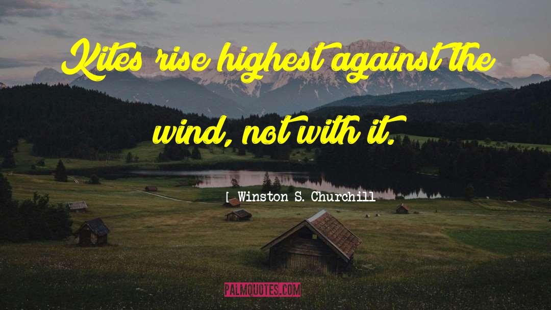 Against The Grain quotes by Winston S. Churchill