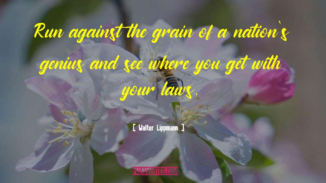 Against The Grain quotes by Walter Lippmann