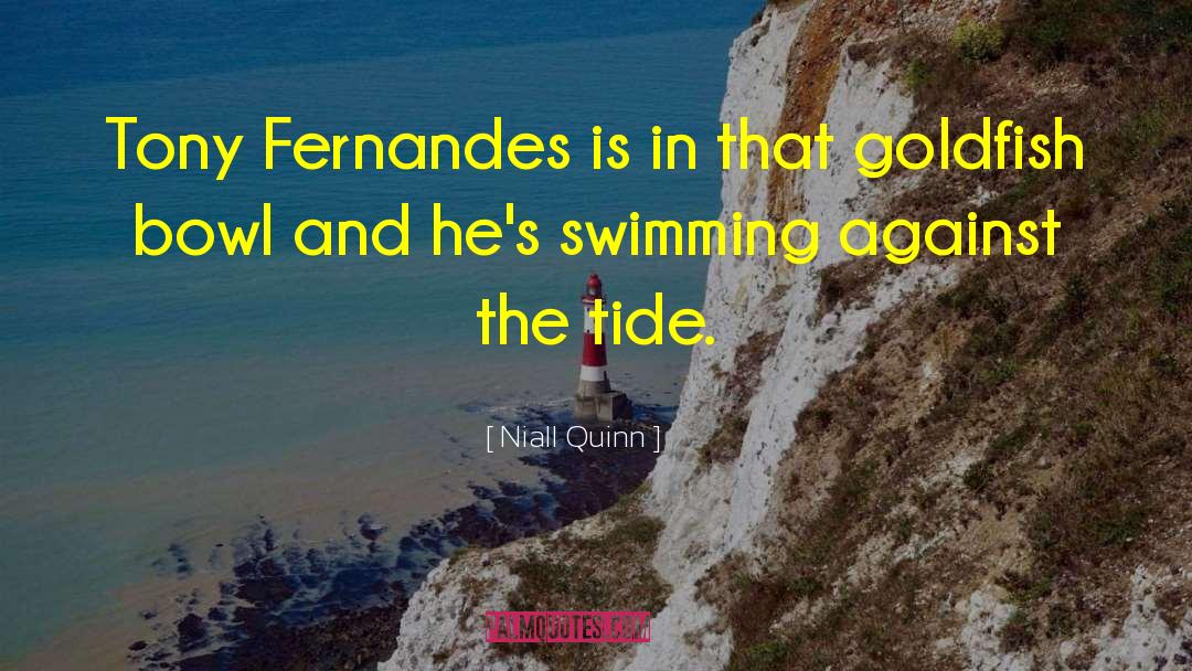 Against The Tide quotes by Niall Quinn