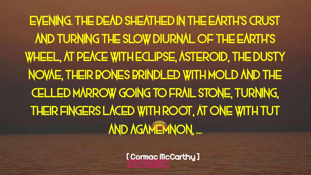 Agamemnon quotes by Cormac McCarthy