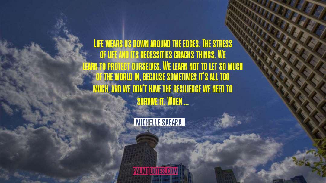 Age And Experience quotes by Michelle Sagara